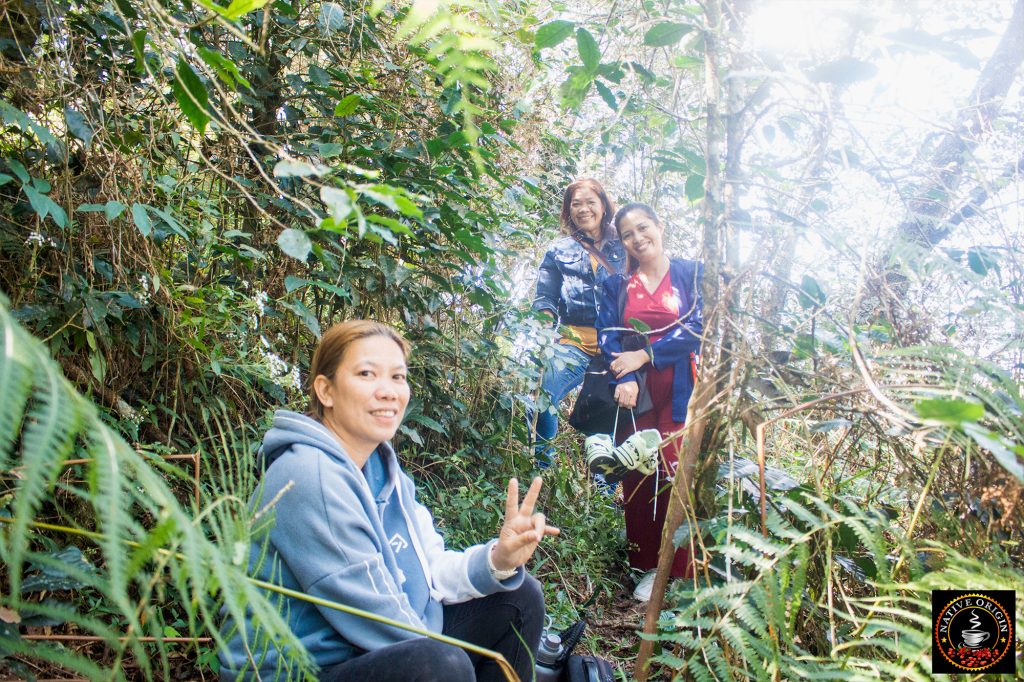 cafea exotică din Filipine